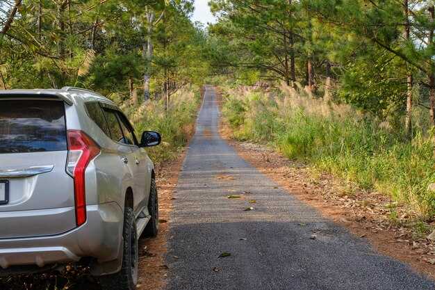 Где найти запчасти для Ниссан Х Трейл
