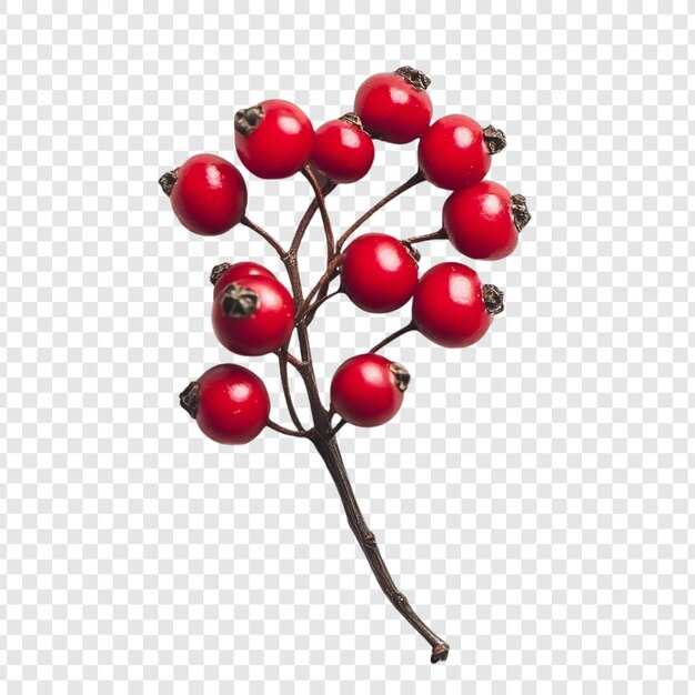 Как проверить подлинность номера двигателя