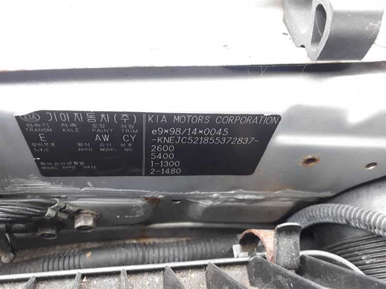 Специфика маркировки двигателей Kia: что нужно знать