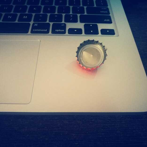 Анализ успешных примеров получателей грантов